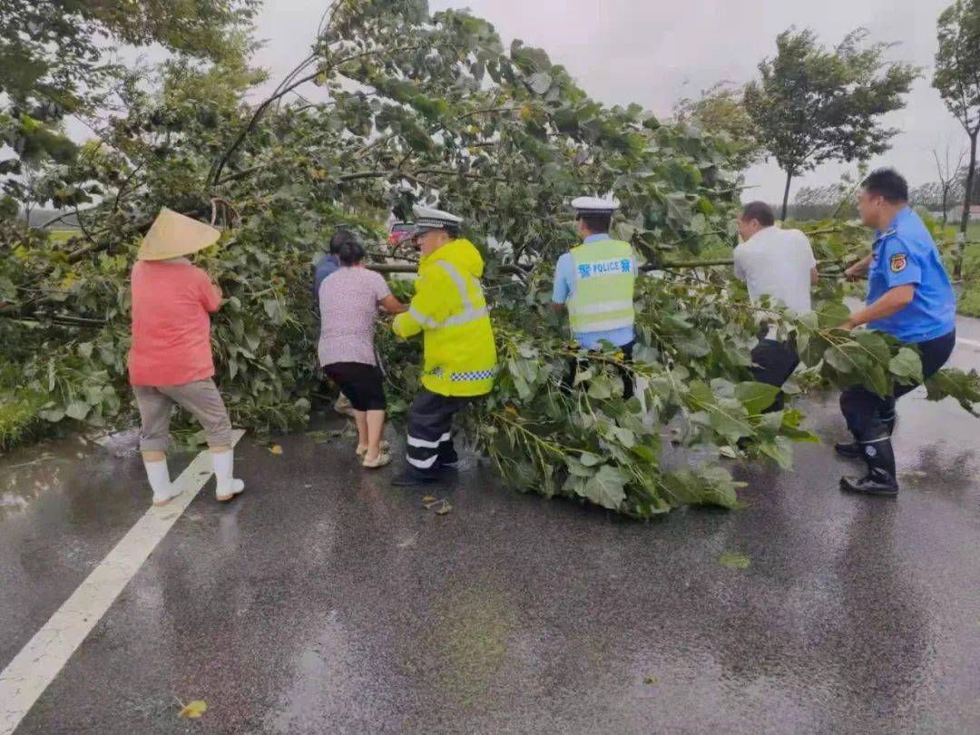 “最新台风动态及风力等级”