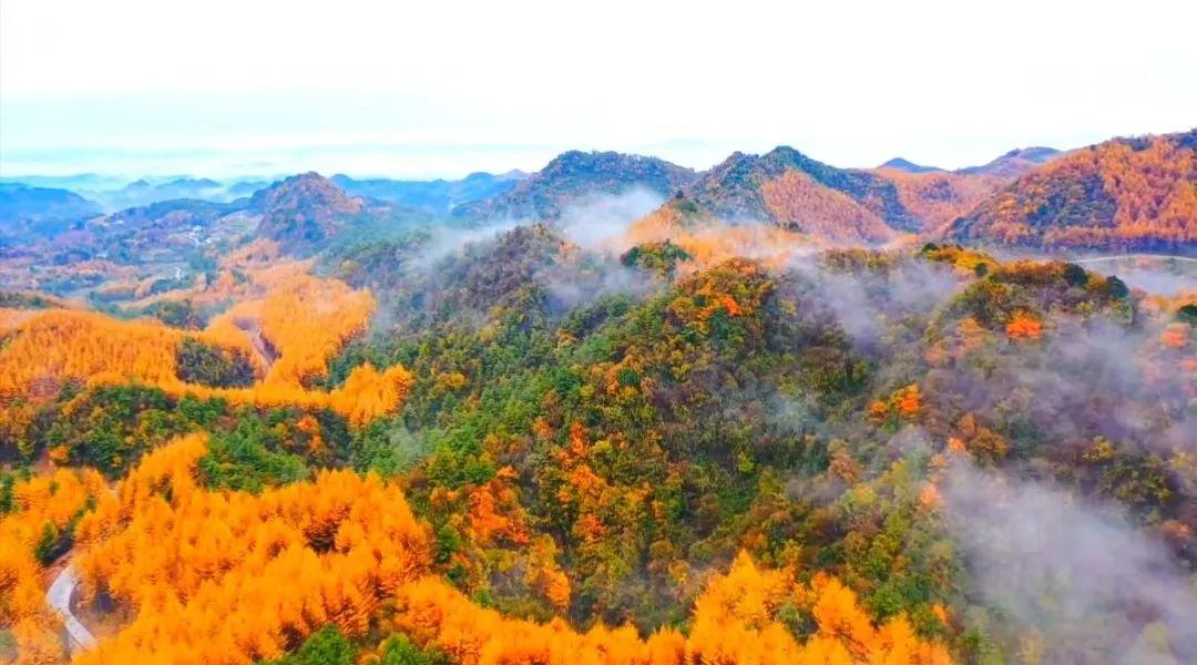 四川各地喜讯连连，最新进展为您揭晓