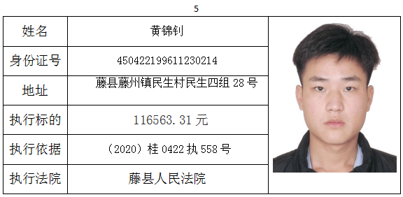 龙泉最新失信被执行人名录