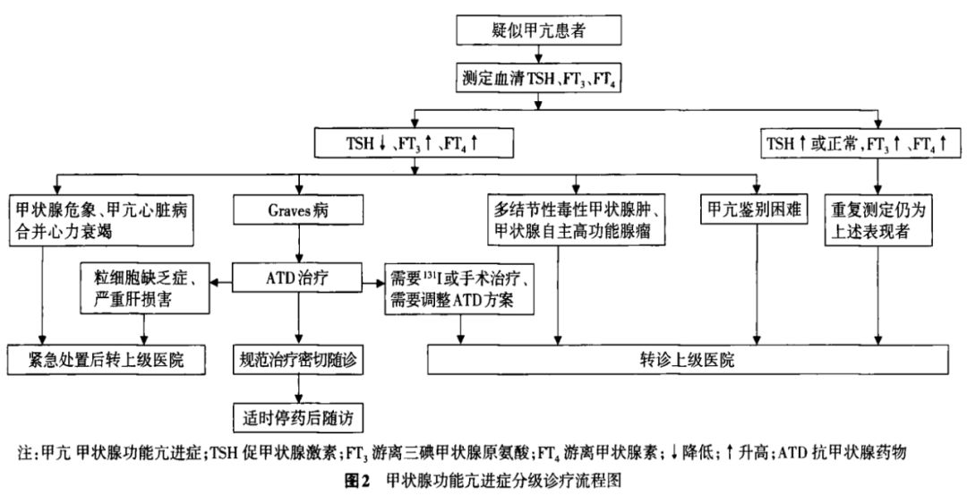 甲状腺功能亢进症最新诊疗策略揭秘指南